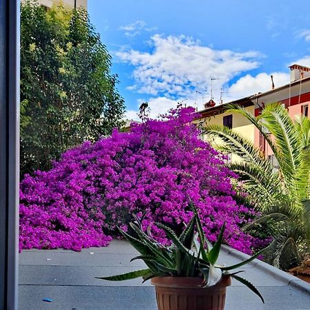Ancora Qui, Nel Golfo Dei Poeti Lägenhet La Spezia Exteriör bild